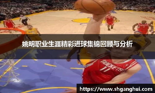 姚明职业生涯精彩进球集锦回顾与分析