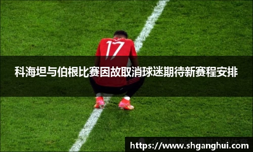 星空综合官网