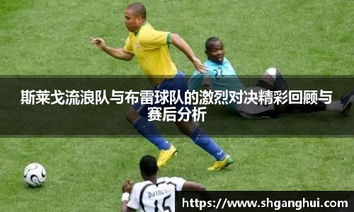 星空综合官网
